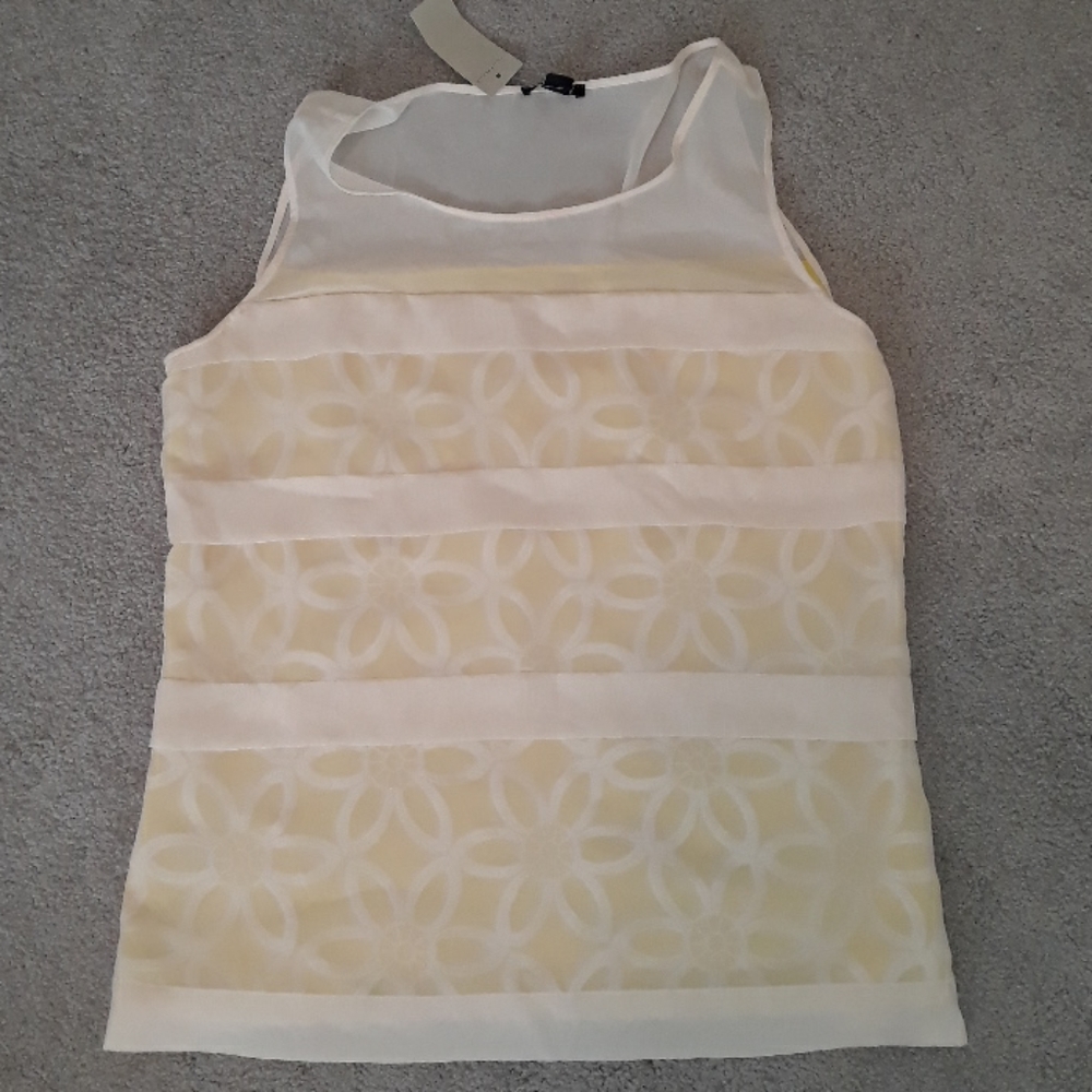 ANNTAYLOR SHEER MESHSLEEVELESS